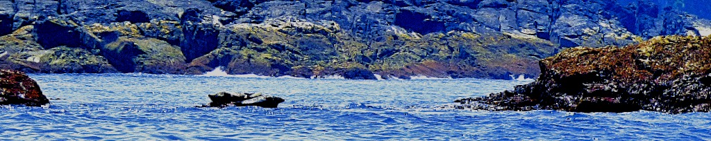 Seal rocks