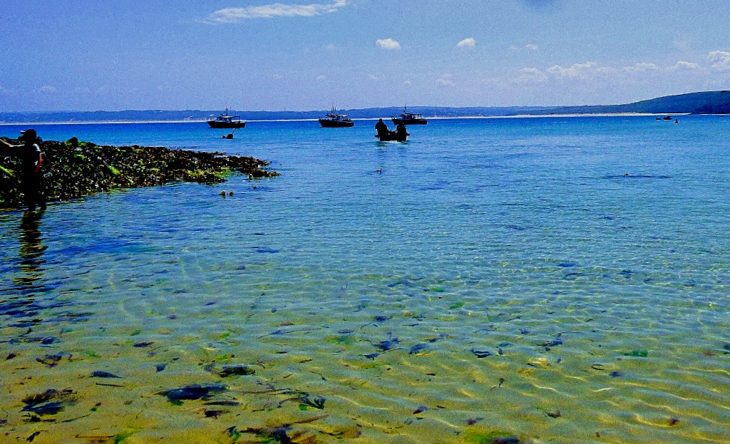 Waiting for the Seahorse