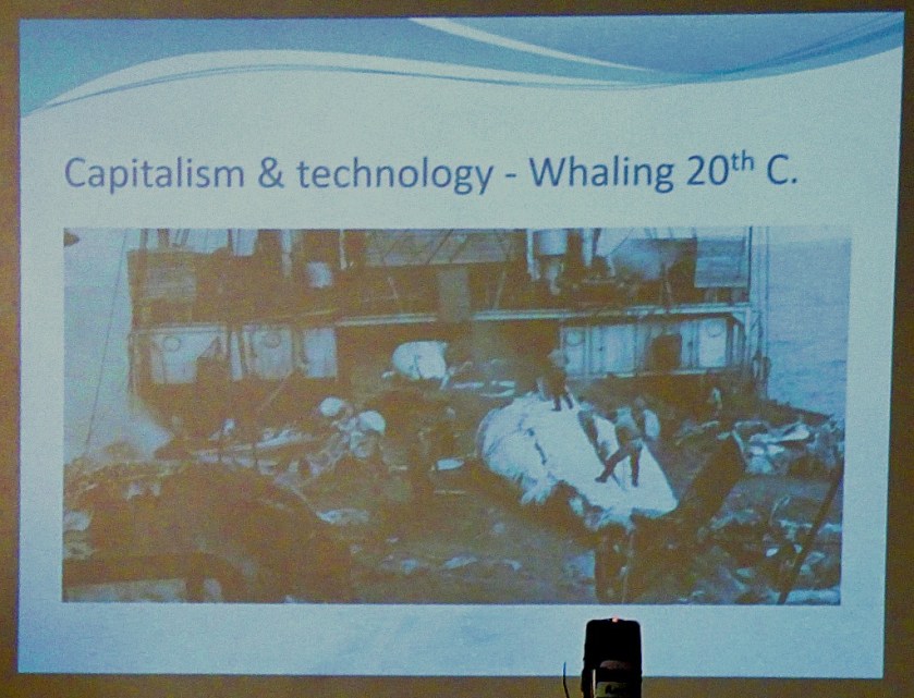 Whaling 20th Century