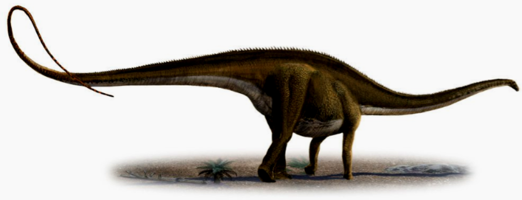 Diplodocus