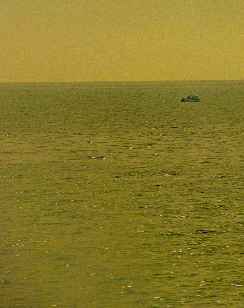 Lone boat