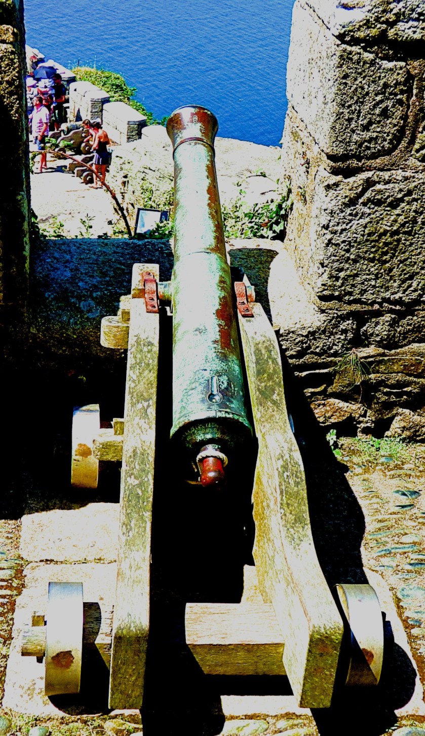 Mini cannon