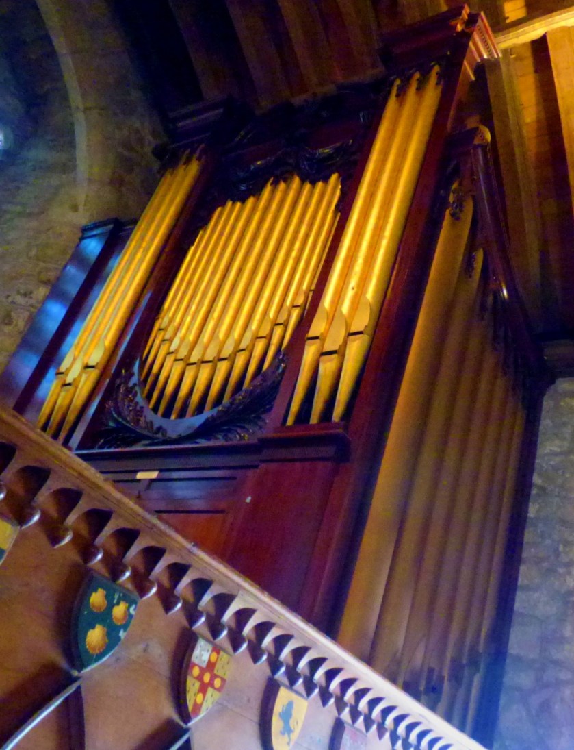 Organ close-up 1