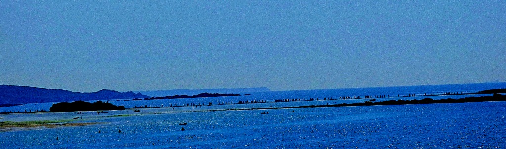 People on the causeway