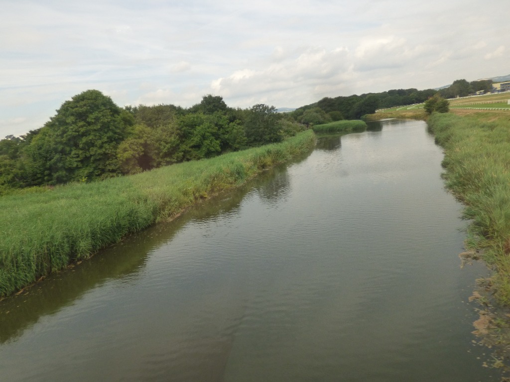 River near Newton Abbot