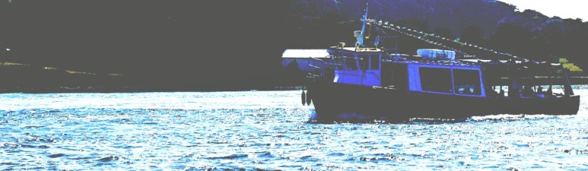 View from the ferry (III)