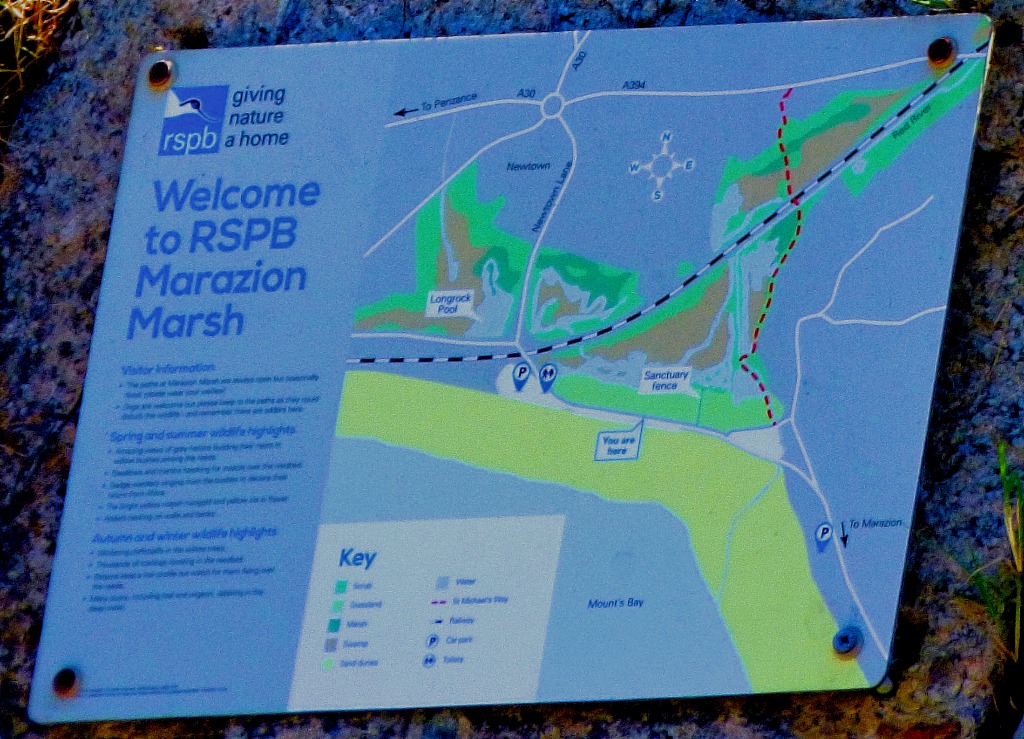 Welcome to Marazion Marsh