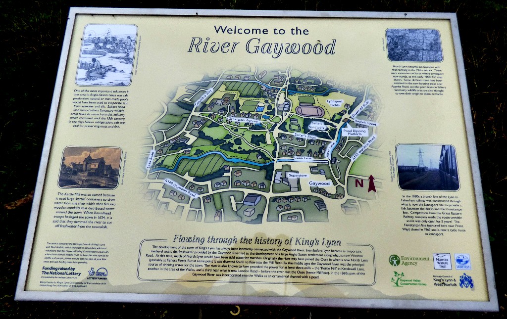 Moving on to the Front Foot Against the Big&nbsp;C