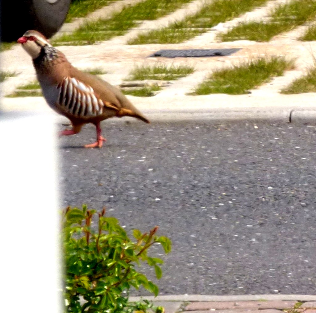 All-Time Squads –&nbsp;England