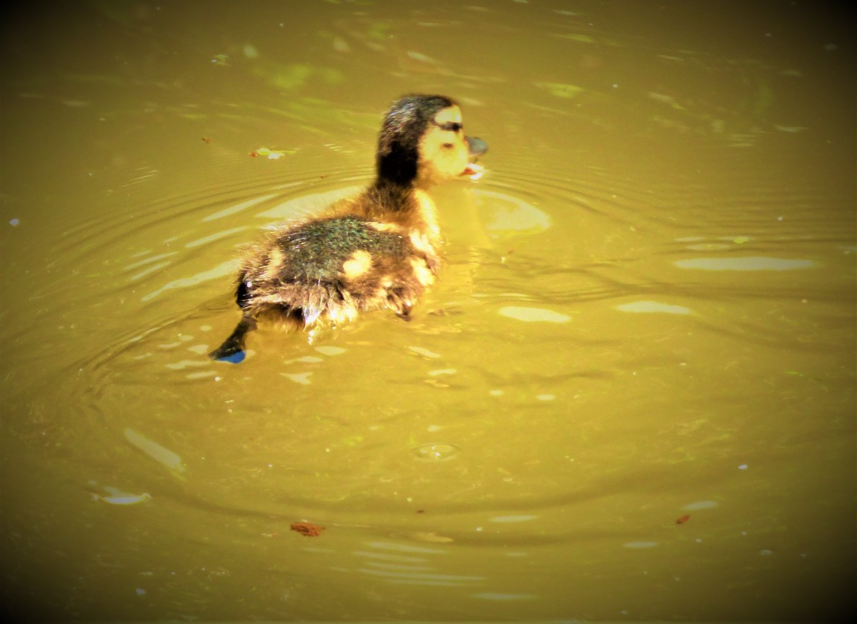 World Cup Warm Up&nbsp;Matches