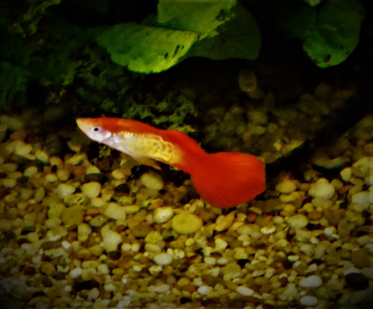 An Object Lesson In Two&nbsp;Games