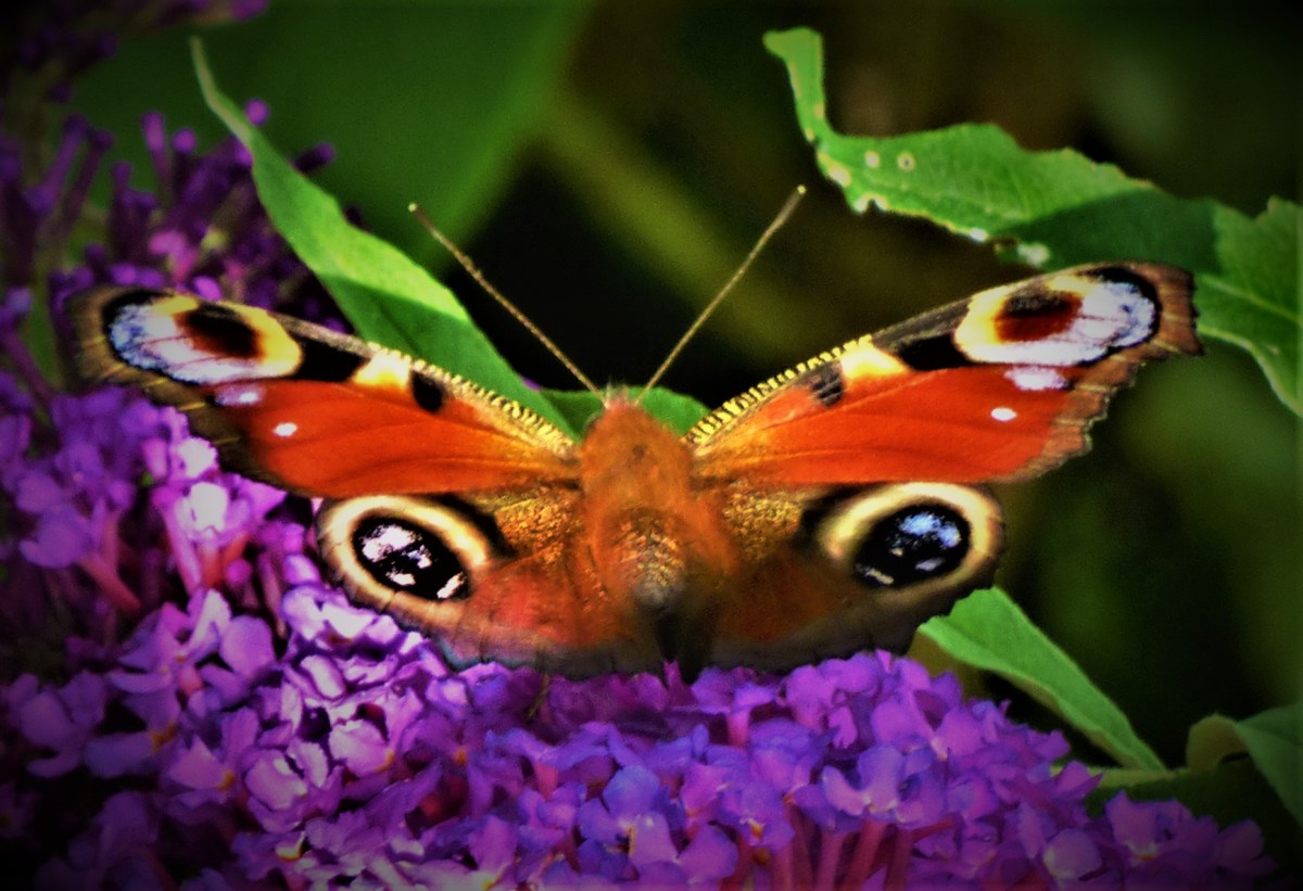 Yesterday’s Women’s Super League Triple&nbsp;Header