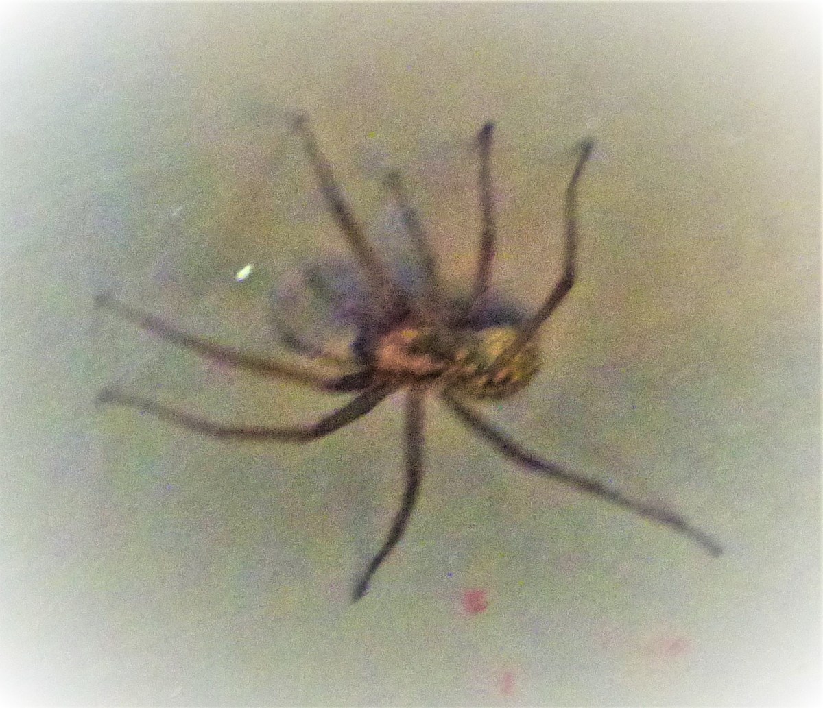 Autism Related Events