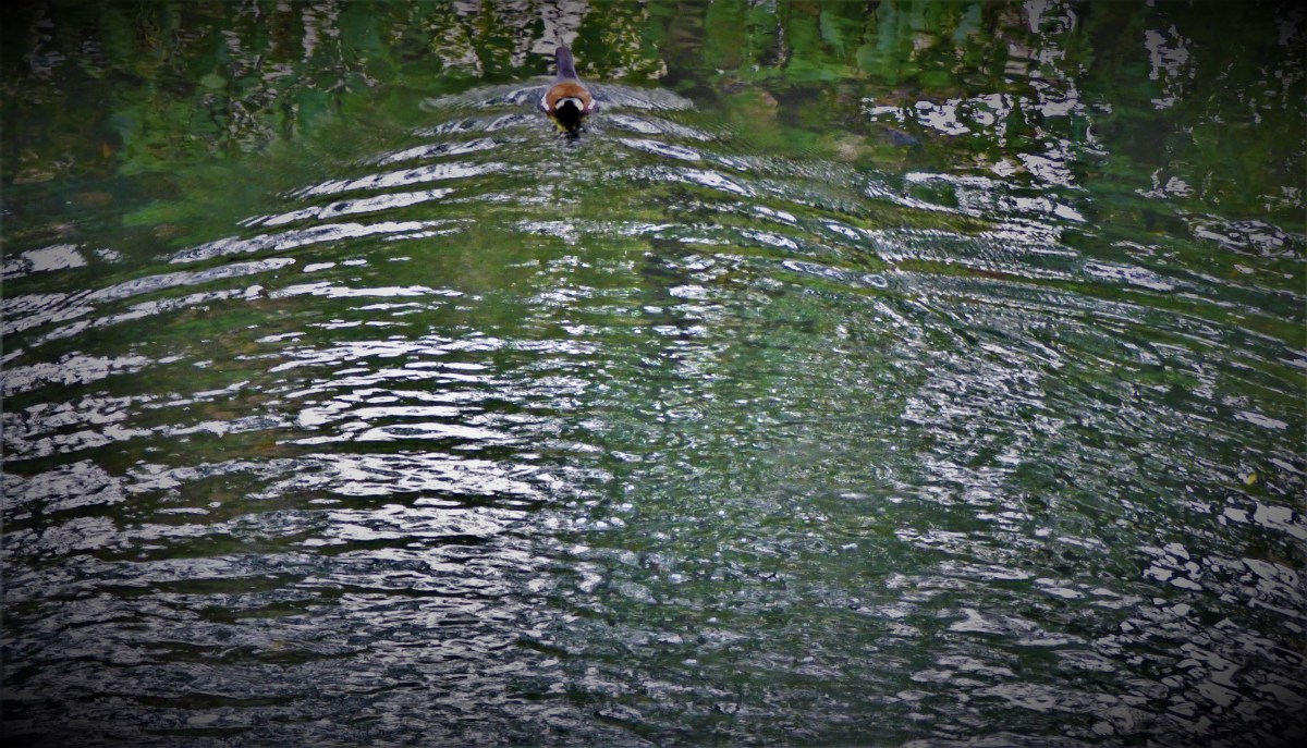 My England Line Up for the Second&nbsp;Test