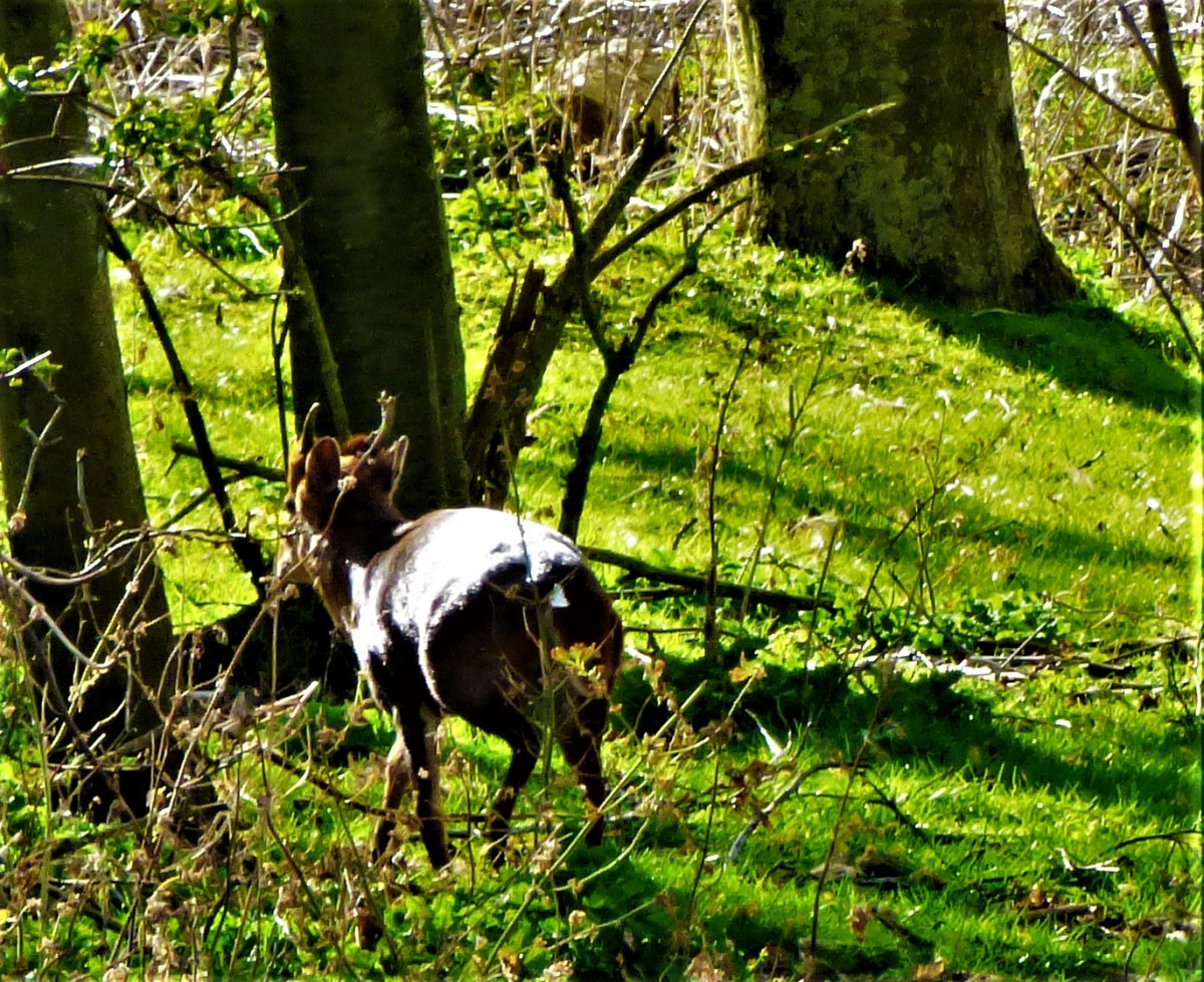 All Time XIs –&nbsp;Surrey