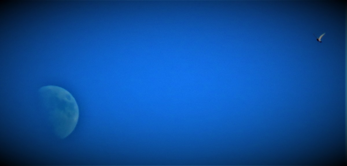 Sri Lanka In Control In&nbsp;Galle