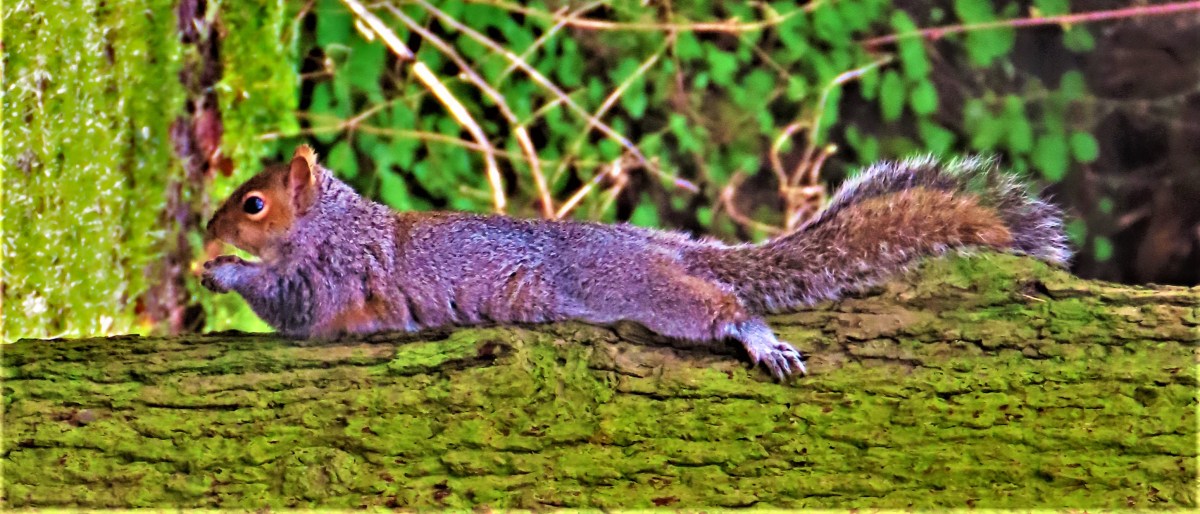 Looking Ahead To The Ashes:&nbsp;Spinners