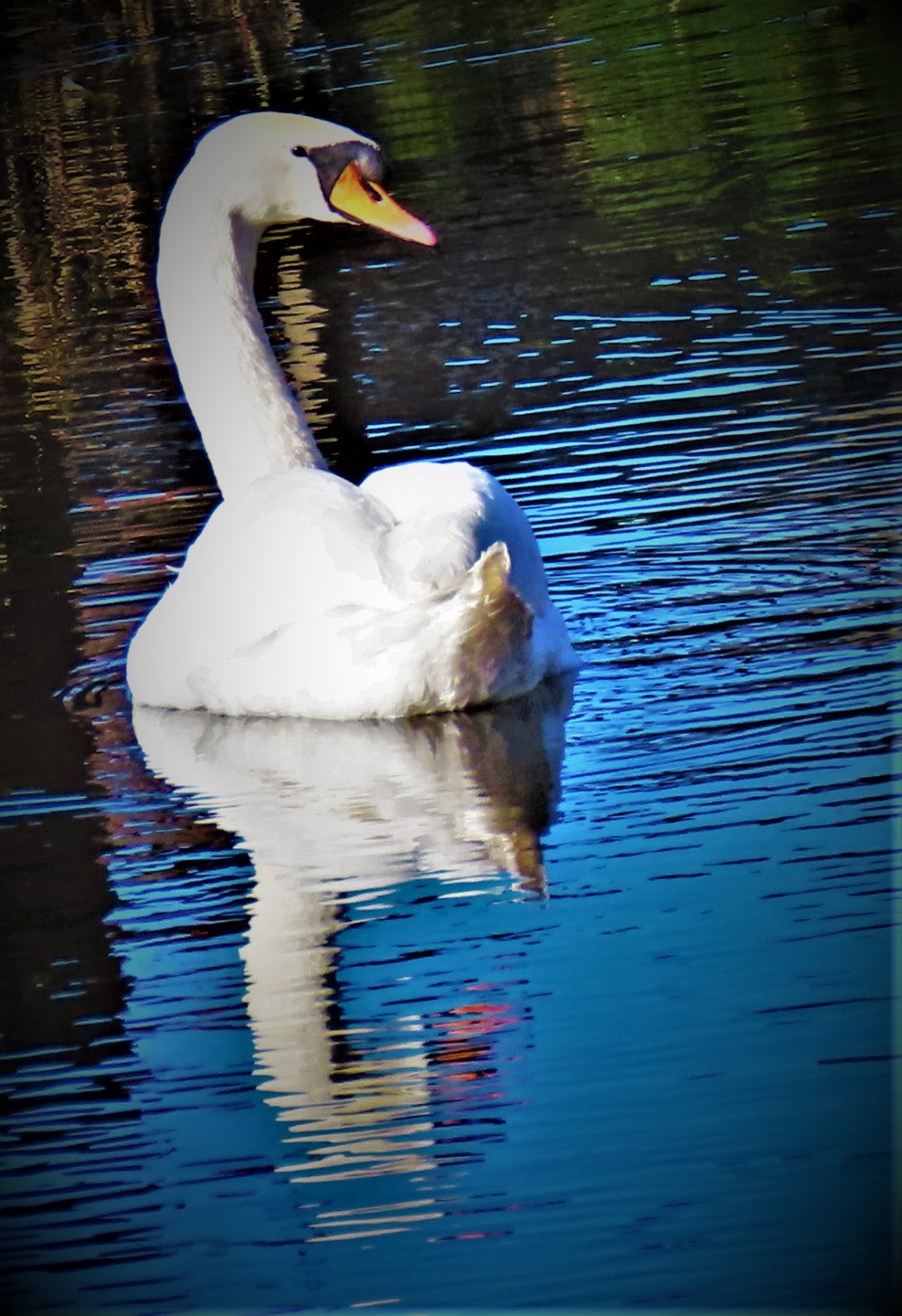 England Women Secure Series Victory With A Game To Spare In New&nbsp;Zealand