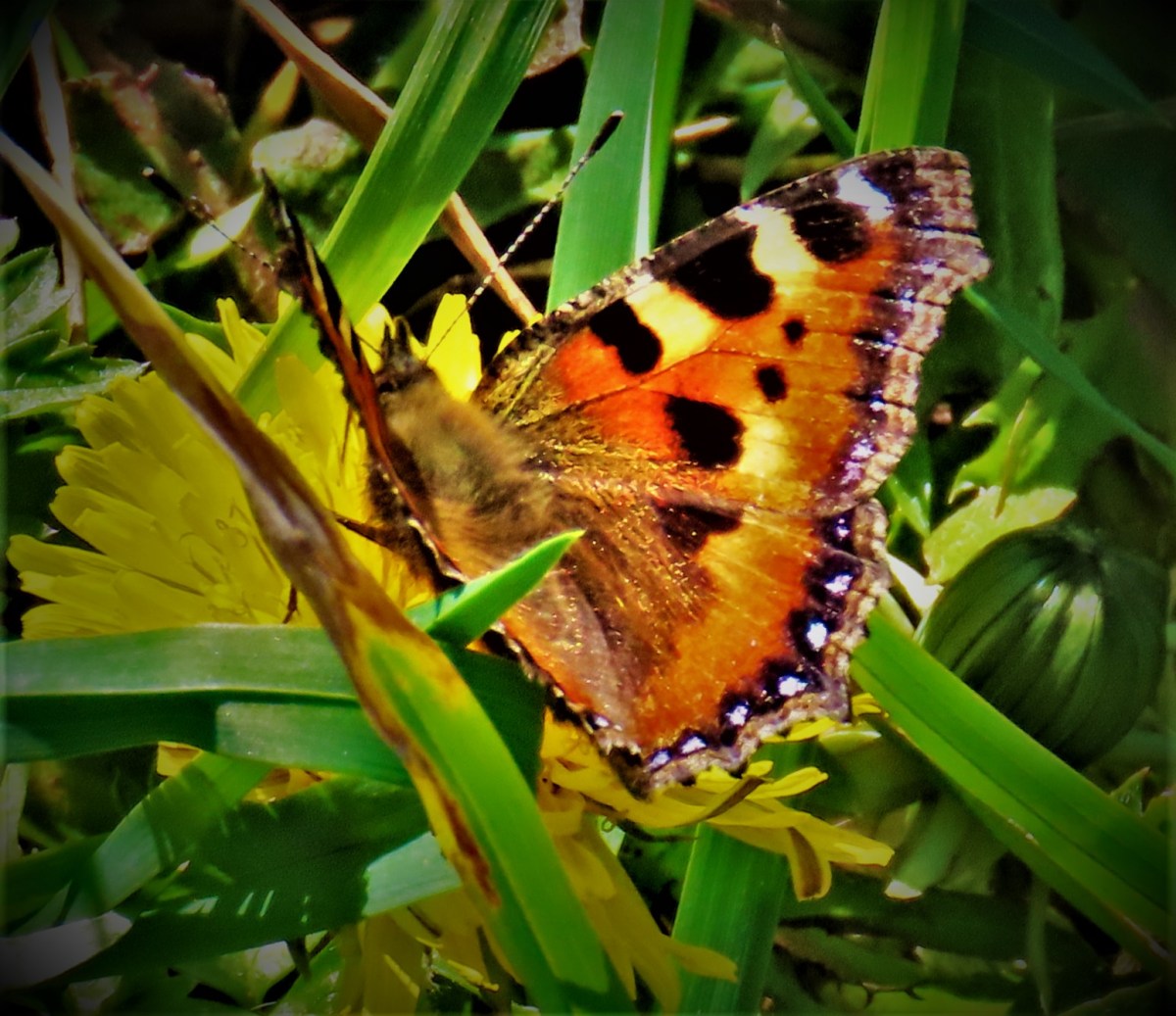 Brathwaite Ends Lean&nbsp;Spell