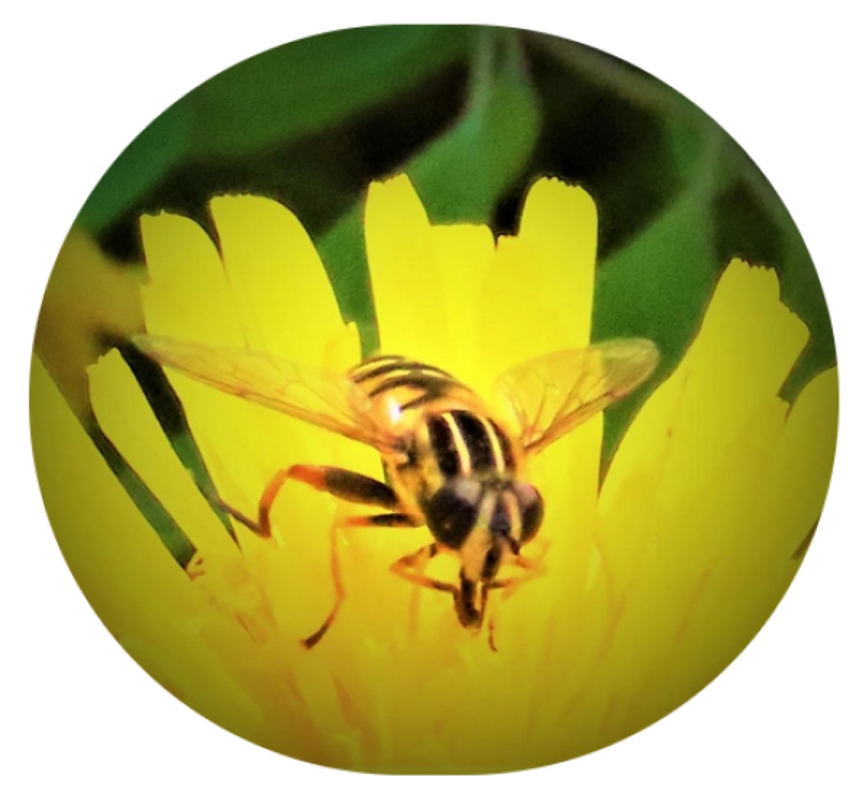 Robson’s Luck Runs Out At&nbsp;Last