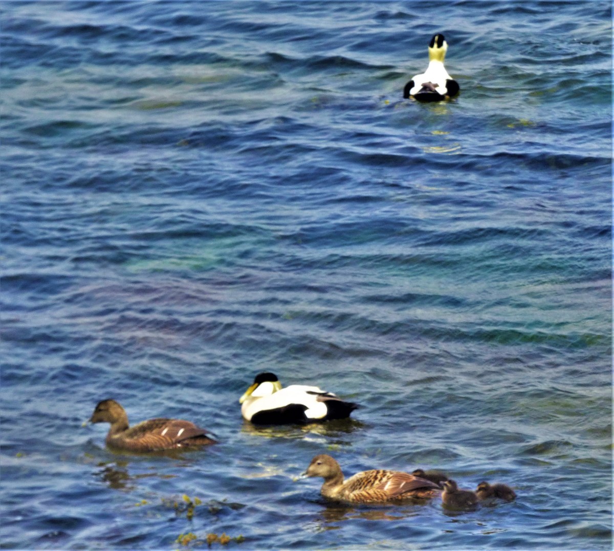 Scotland 2021: John&nbsp;O’Groats