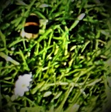 England Test Prospects For 2022&nbsp;Season