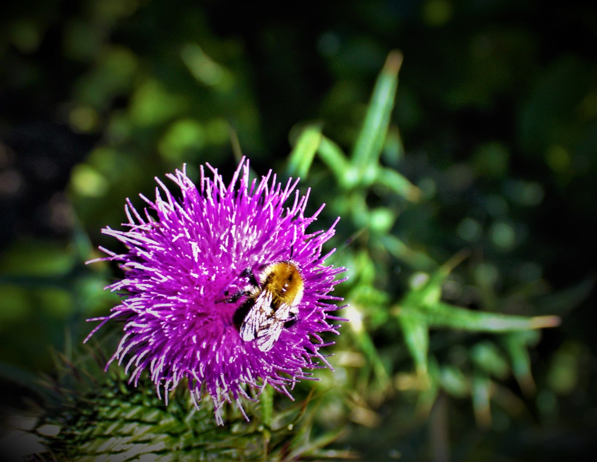 Two Great Performances in Losing&nbsp;Causes