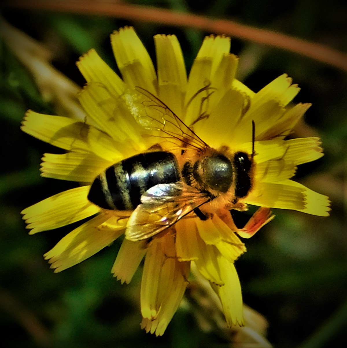 All Time XIs – Matchups&nbsp;(1)