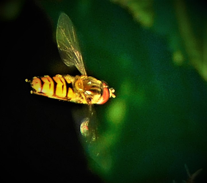 All Time XIs – Match Ups&nbsp;(6)