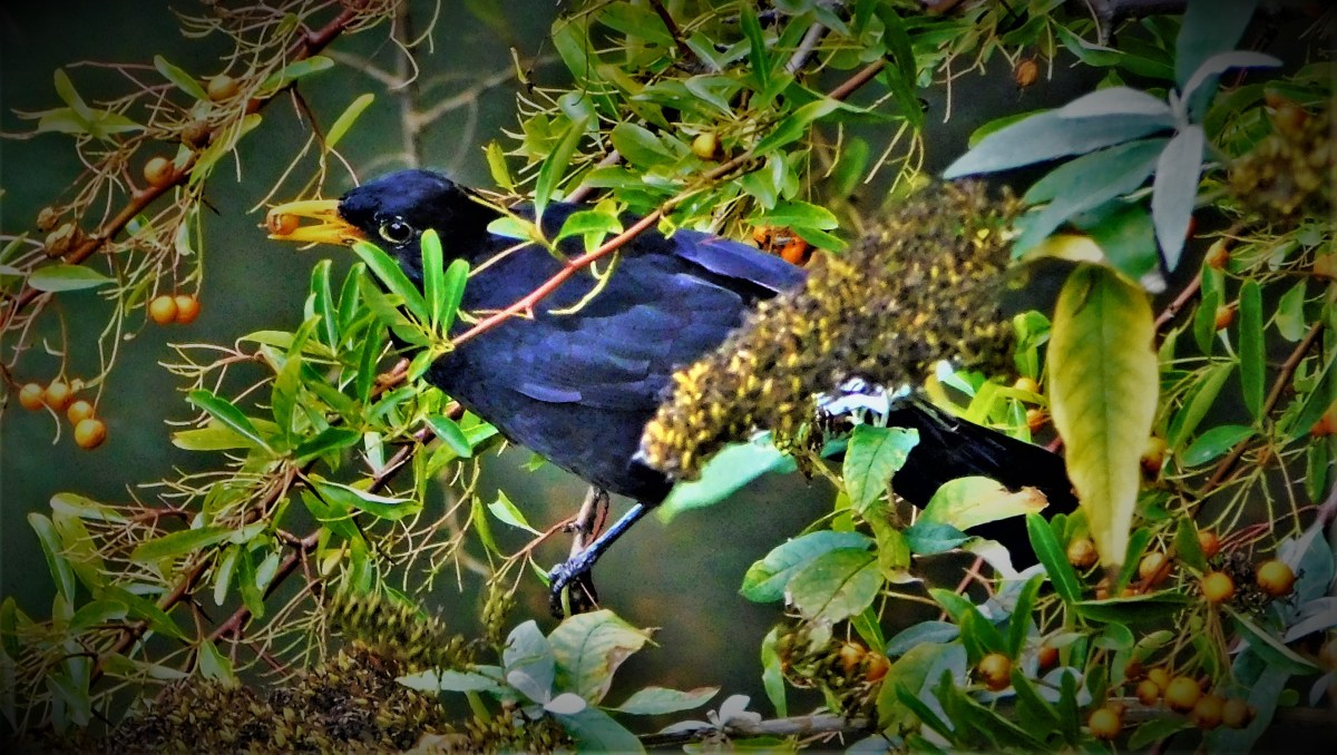 All Time XIs – Match Ups&nbsp;42