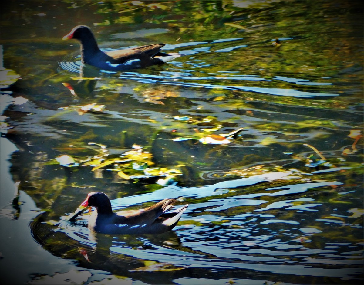 All Time XIs – Match Ups&nbsp;35