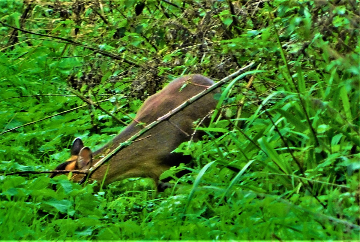 All Time XIs – Match Ups&nbsp;45