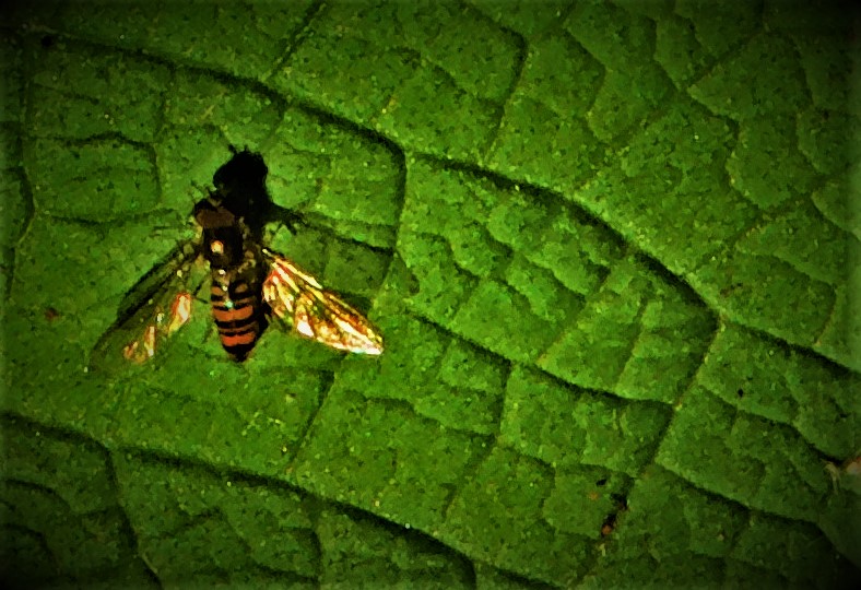 All Time XIs – Match Ups&nbsp;46