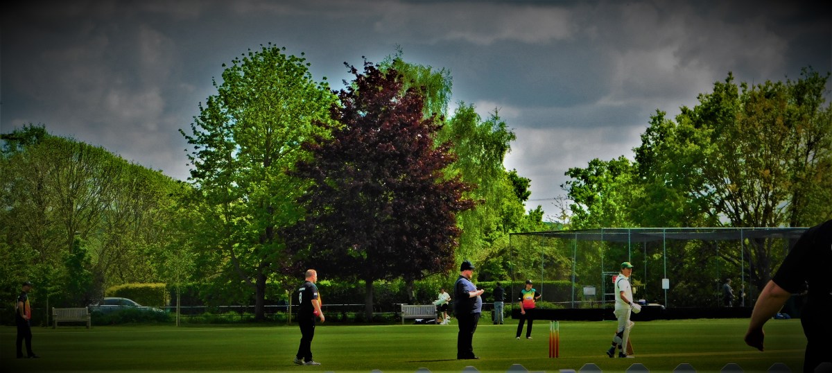 Watching The Metronomes In&nbsp;Action