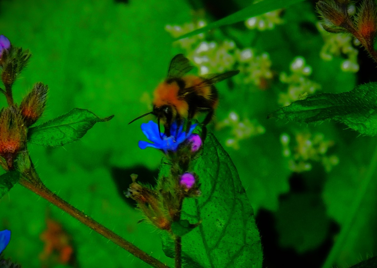 From Old Computer to New Computer via Even Older&nbsp;Computer