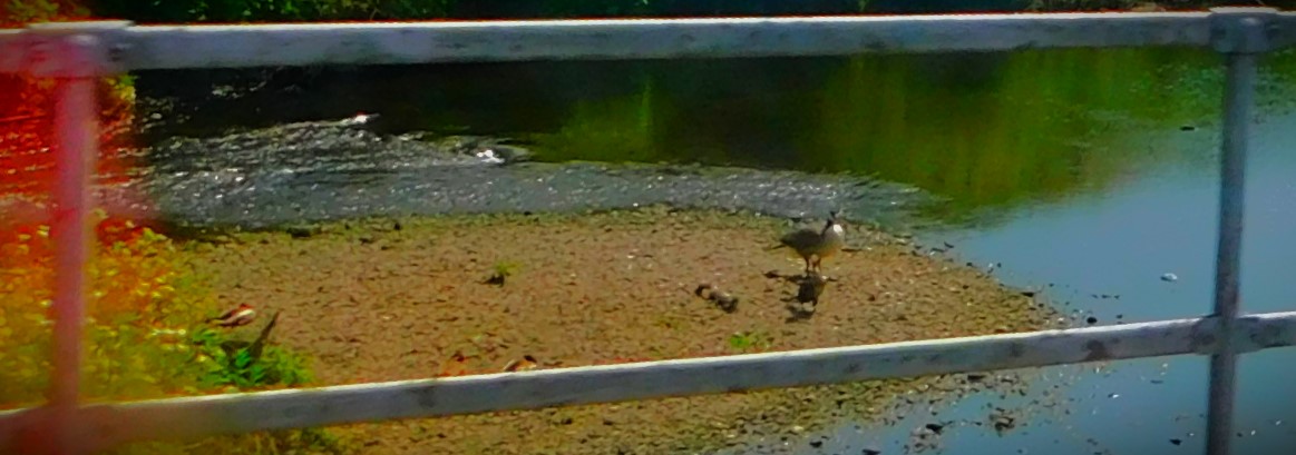 Lake District 2023 18: Getting&nbsp;Home