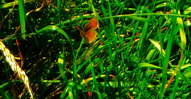 Game on at Trent&nbsp;Bridge