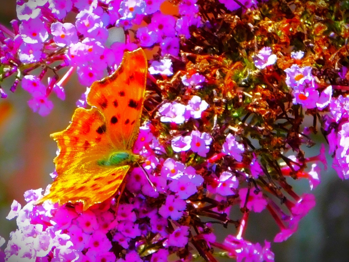 Surrey in Control at&nbsp;Taunton