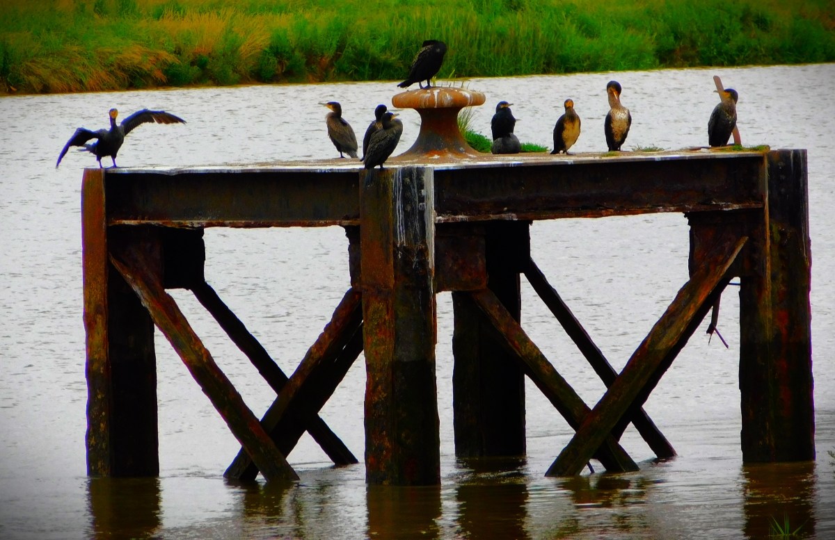 England Women’s Squads For Upcoming Series Against Sri&nbsp;Lanka