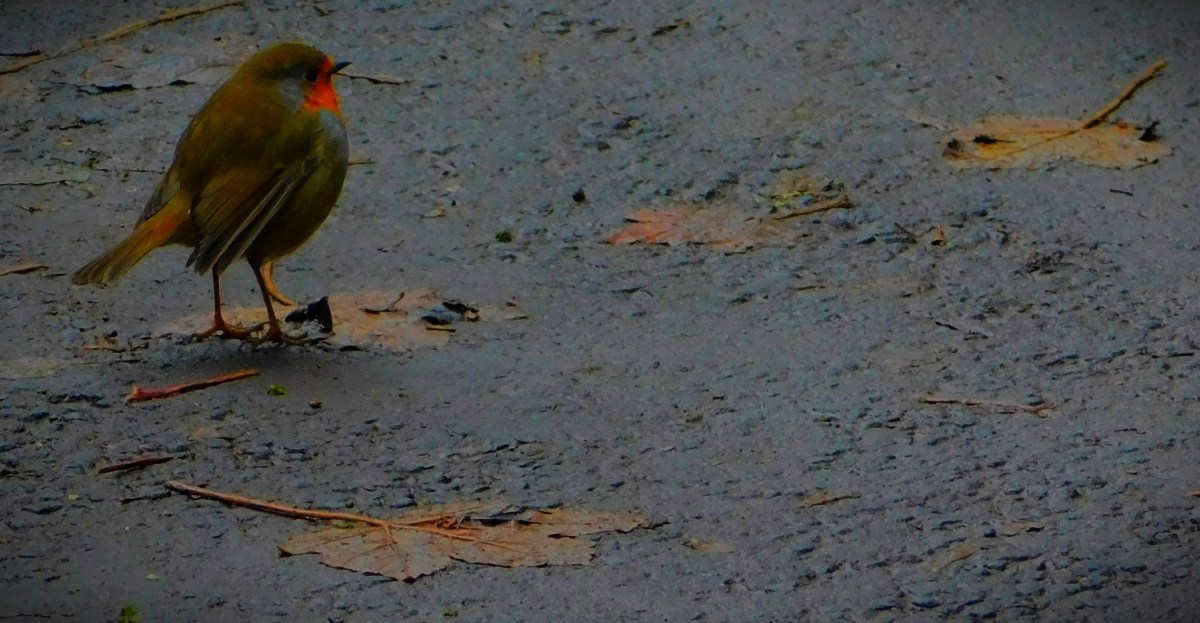 There is no I in&nbsp;Team