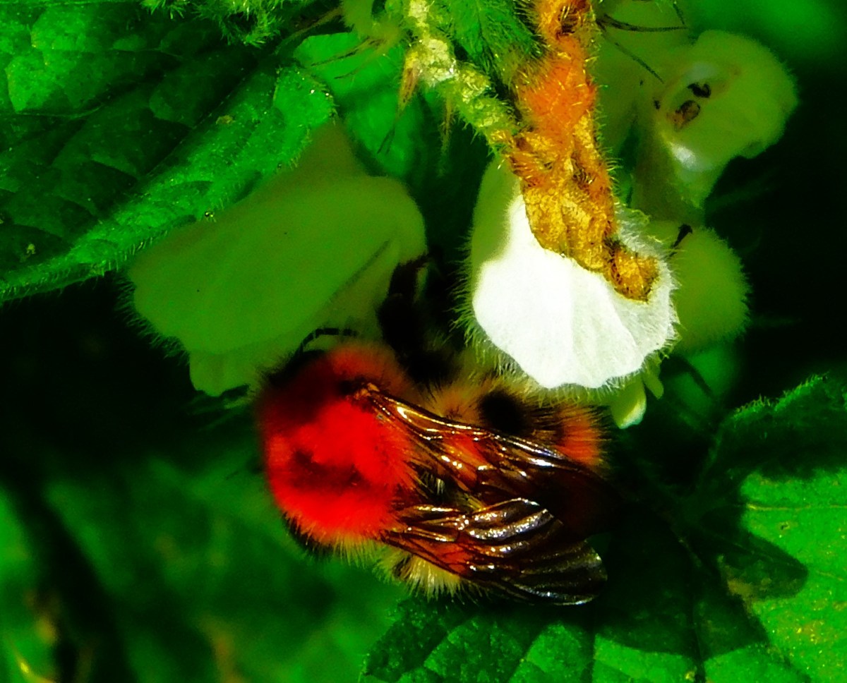 County Championship Round 3 Day&nbsp;3