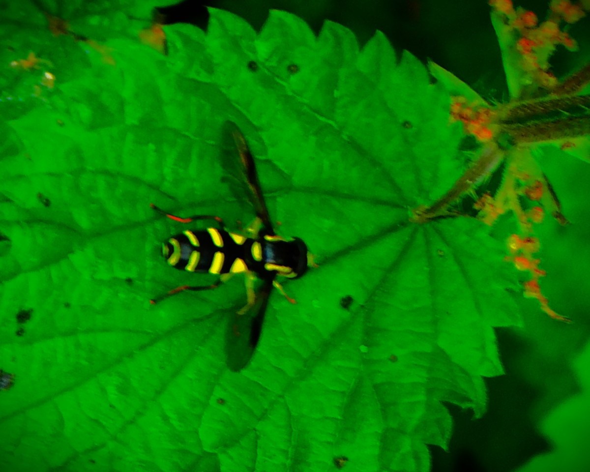 Rain Alters Schedules