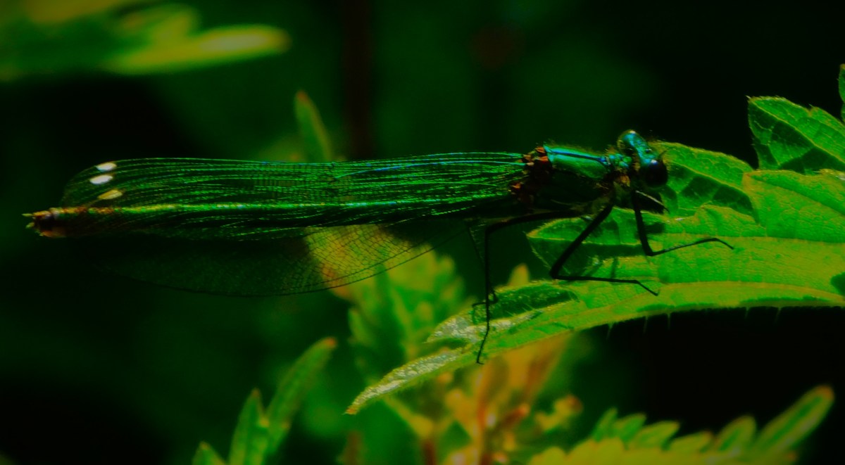 Different Format, Same&nbsp;Result