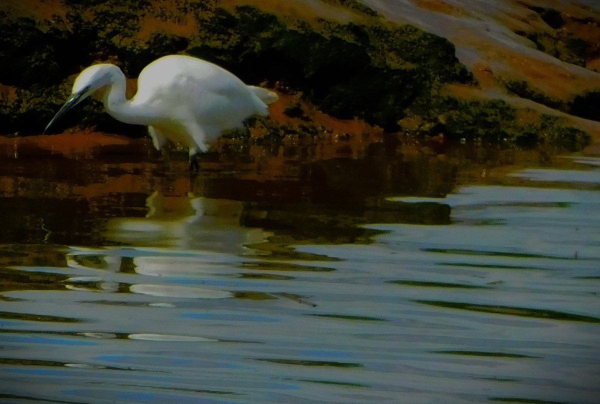 The England XI For The First Test&nbsp;Match