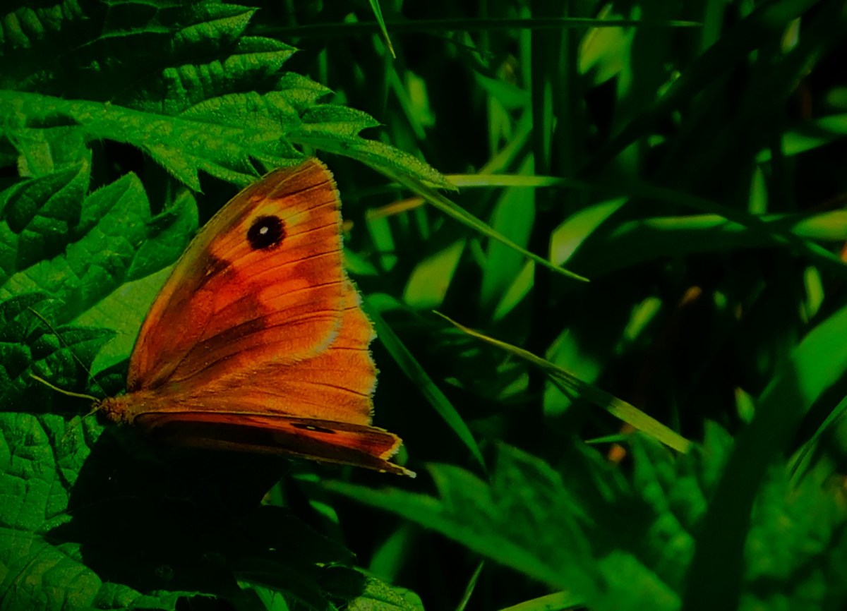 Ups and Downs at&nbsp;Birmingham