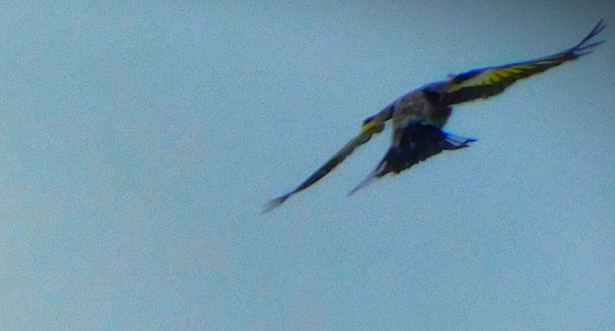 Good in Parts for&nbsp;England