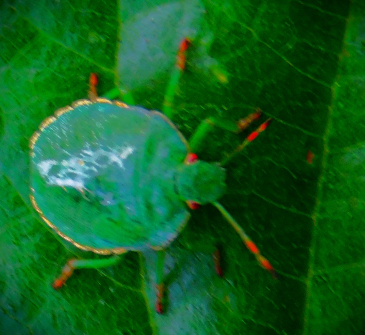 England in Control in&nbsp;Manchester