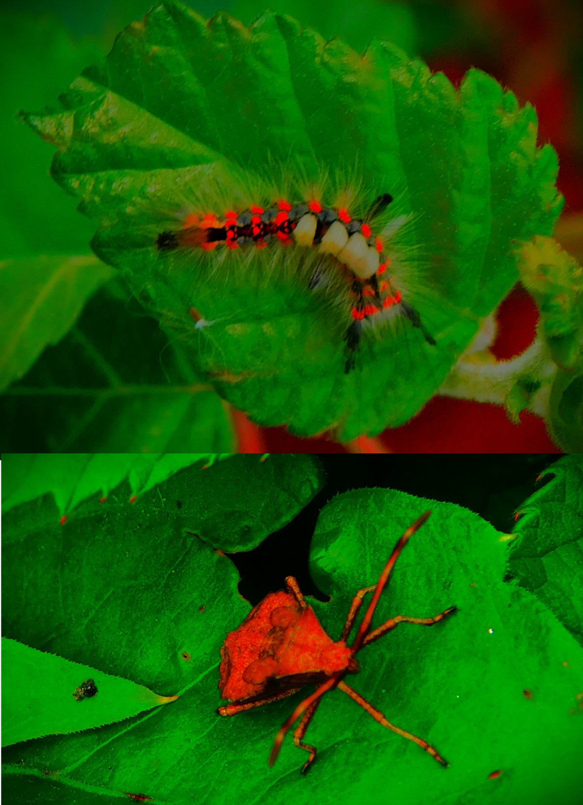 The England XI For&nbsp;Tomorrow