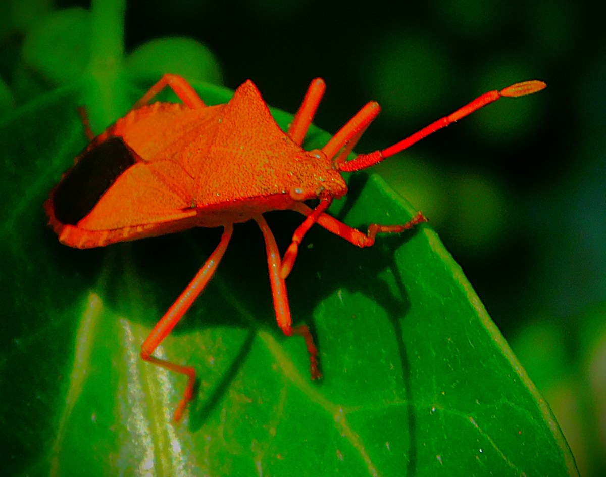 Surrey Give Stewart Super Send&nbsp;Off