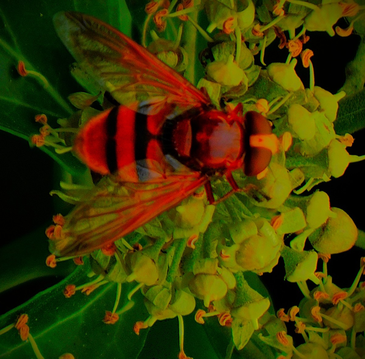 A One Day Clash Between Past and&nbsp;Present